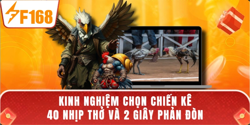 Kinh Nghiệm Chọn Chiến Kê - 40 Nhịp Thở Và 2 Giây Phản Đòn