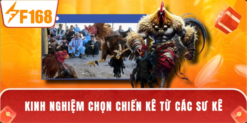 Kinh nghiệm chọn chiến kê từ các sư kê